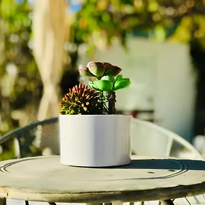Vakantiehuis Laureles, El Paso